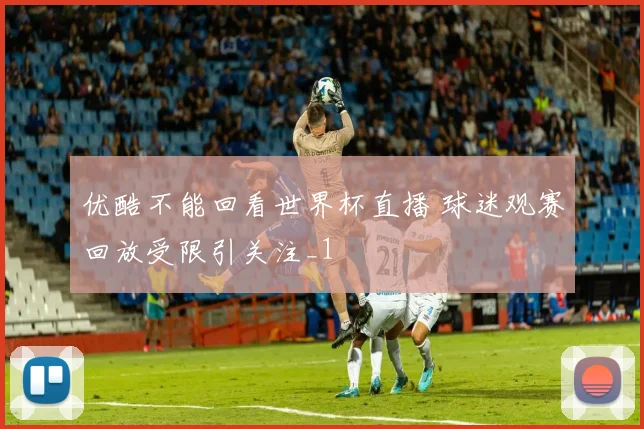 优酷不能回看世界杯直播 球迷观赛回放受限引关注_1