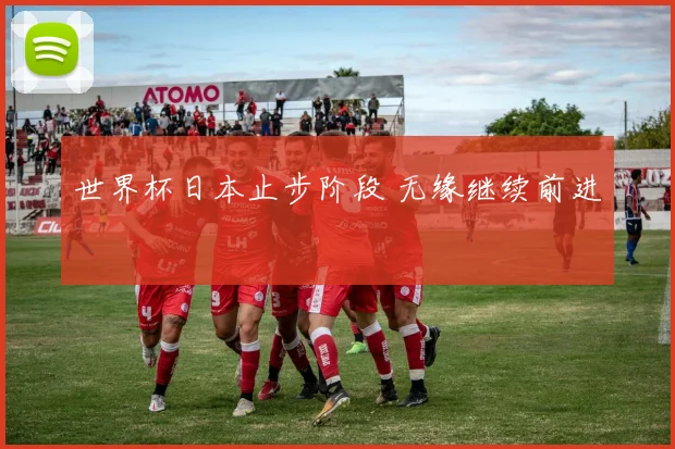 世界杯日本止步阶段 无缘继续前进