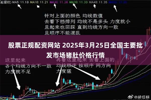 股票正规配资网站 2025年3月25日全国主要批发市场猪肚价格行情