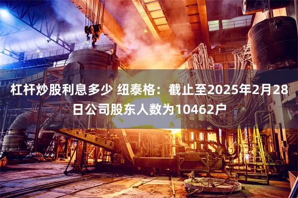 杠杆炒股利息多少 纽泰格：截止至2025年2月28日公司股东人数为10462户