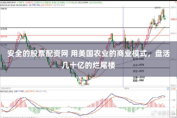 安全的股票配资网 用美国农业的商业模式，盘活几十亿的烂尾楼
