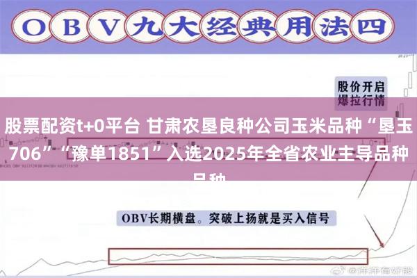 股票配资t+0平台 甘肃农垦良种公司玉米品种“垦玉706”“豫单1851”入选2025年全省农业主导品种