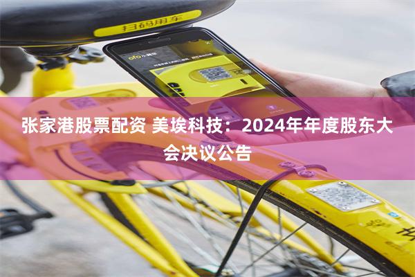 张家港股票配资 美埃科技：2024年年度股东大会决议公告