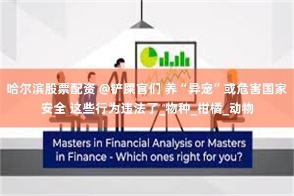 哈尔滨股票配资 @铲屎官们 养“异宠”或危害国家安全 这些行为违法了_物种_柑橘_动物