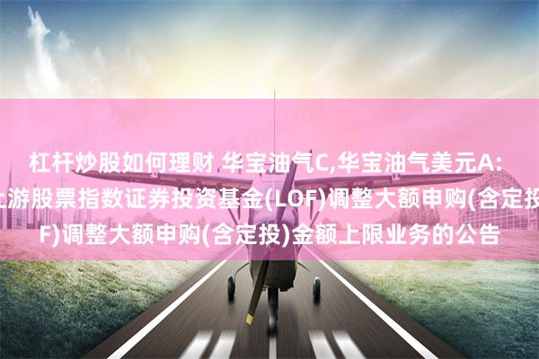 杠杆炒股如何理财 华宝油气C,华宝油气美元A: 华宝标普石油天然气上游股票指数证券投资基金(LOF)调整大额申购(含定投)金额上限业务的公告