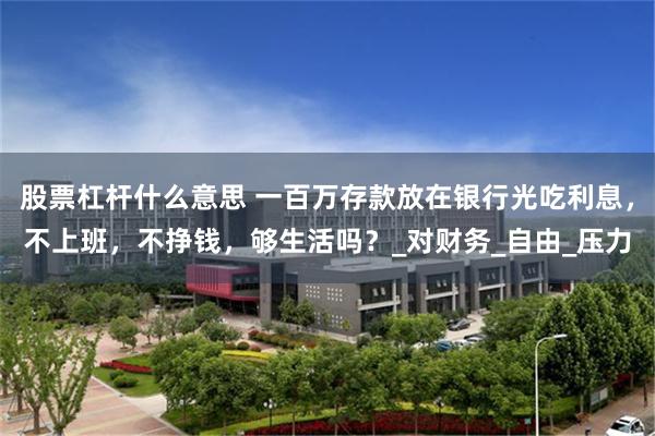 股票杠杆什么意思 一百万存款放在银行光吃利息，不上班，不挣钱，够生活吗？_对财务_自由_压力