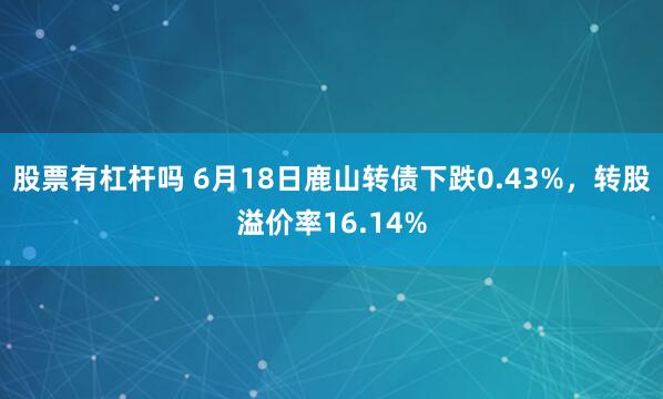 股票有杠杆吗 6月18日鹿山转债下跌0.43%，转股溢价率16.14%