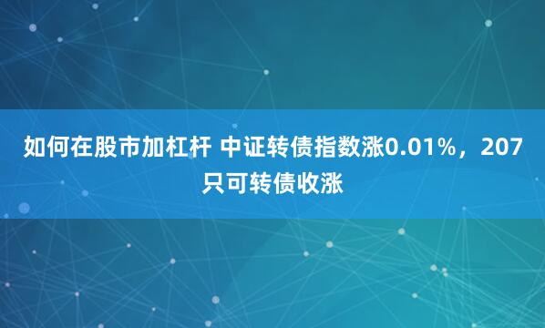 如何在股市加杠杆 中证转债指数涨0.01%，207只可转债收涨
