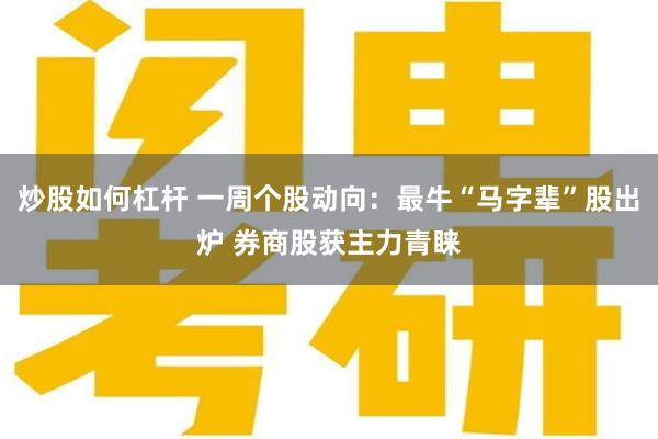 炒股如何杠杆 一周个股动向：最牛“马字辈”股出炉 券商股获主力青睐