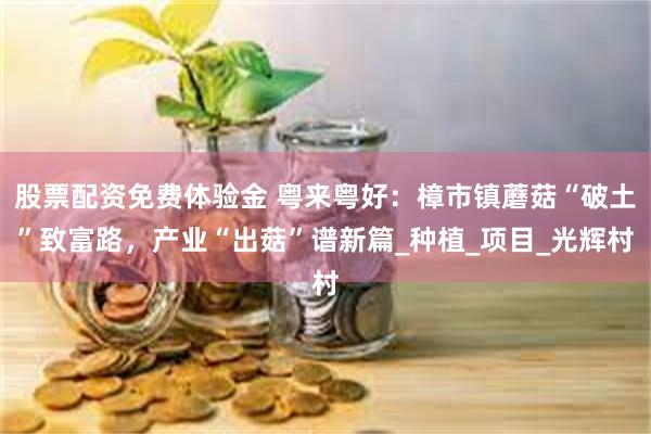 股票配资免费体验金 粤来粤好：樟市镇蘑菇“破土”致富路，产业“出菇”谱新篇_种植_项目_光辉村