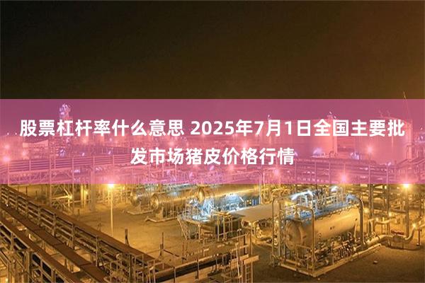 股票杠杆率什么意思 2025年7月1日全国主要批发市场猪皮价格行情