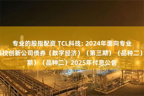 专业的股指配资 TCL科技: 2024年面向专业投资者公开发行科技创新公司债券(数字经济)(第三期)(品种二)2025年付息公告