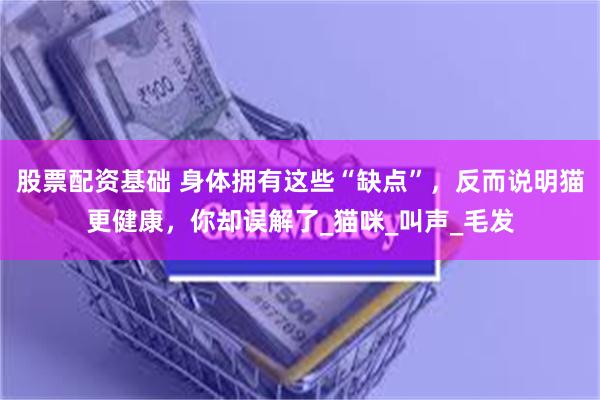 股票配资基础 身体拥有这些“缺点”，反而说明猫更健康，你却误解了_猫咪_叫声_毛发