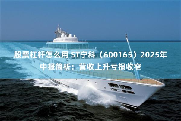 股票杠杆怎么用 ST宁科（600165）2025年中报简析：营收上升亏损收窄