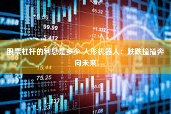 股票杠杆的利息是多少 人形机器人：跌跌撞撞奔向未来