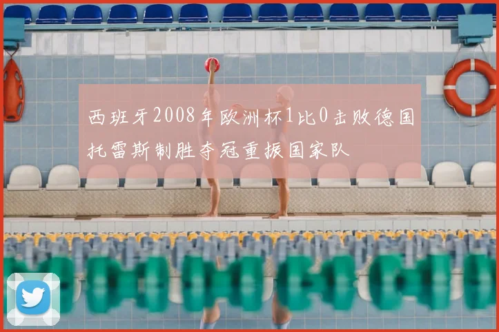 西班牙2008年欧洲杯1比0击败德国托雷斯制胜夺冠重振国家队