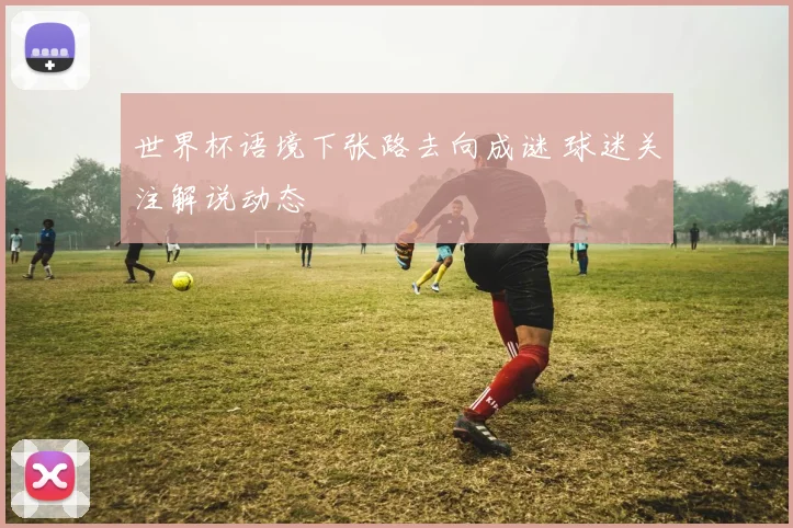 世界杯语境下张路去向成谜 球迷关注解说动态